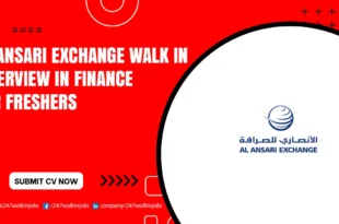 Al Ansari Exchange Walk in Interview