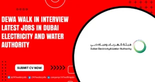 DEWA Walk in Interview