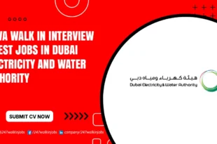 DEWA Walk in Interview