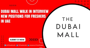Dubai Mall Walk in Interview