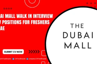Dubai Mall Walk in Interview