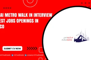 Dubai Metro Walk in Interview
