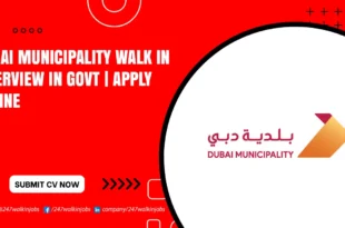 Dubai Municipality Walk in Interview