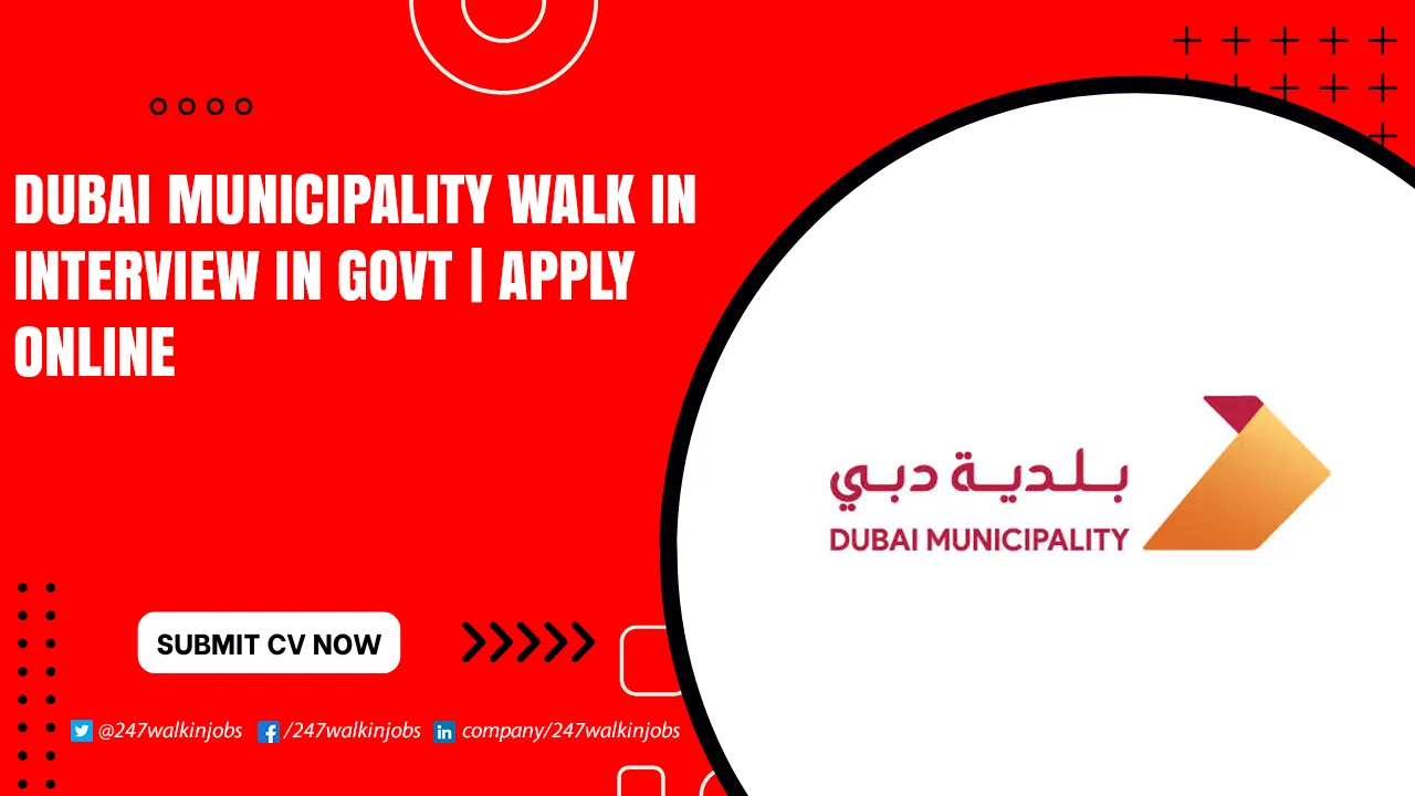 Dubai Municipality Walk in Interview