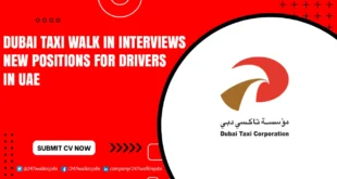 Dubai Taxi Walk in Interview