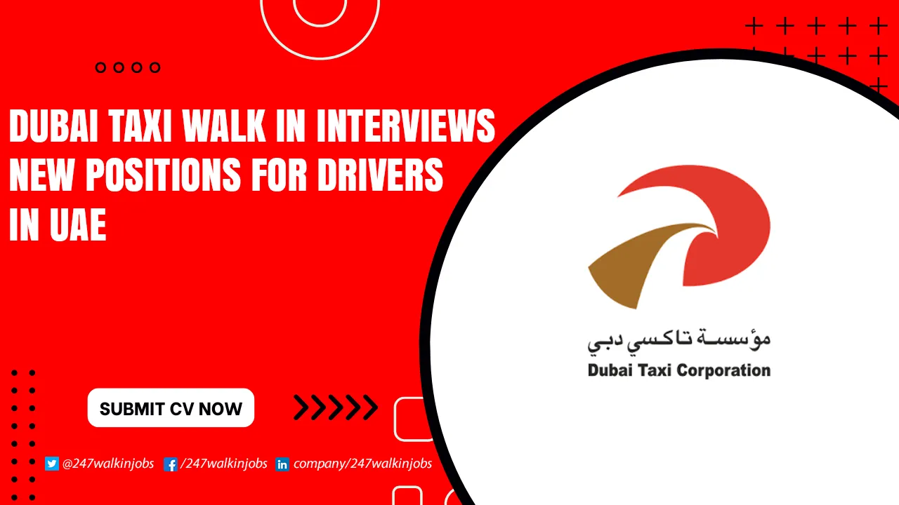 Dubai Taxi Walk in Interview