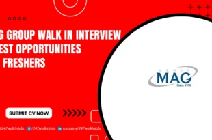 MAG Group Walk in Interview