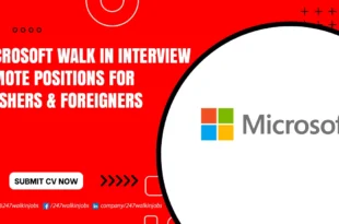 Microsoft Walk in Interview