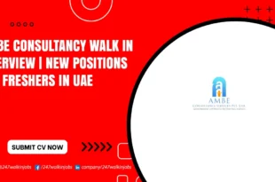 Ambe Consultancy Walk in Interview