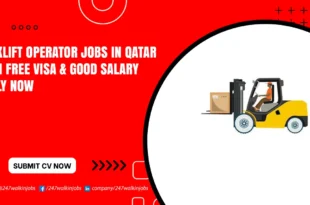 Forklift Operator Jobs in Qatar
