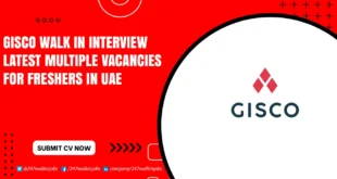 GISCO Walk in Interview