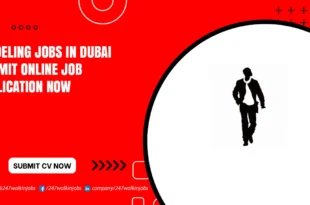Modeling Jobs in Dubai