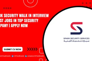 Spark Security Walk in Interview